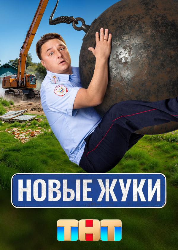 Жуки